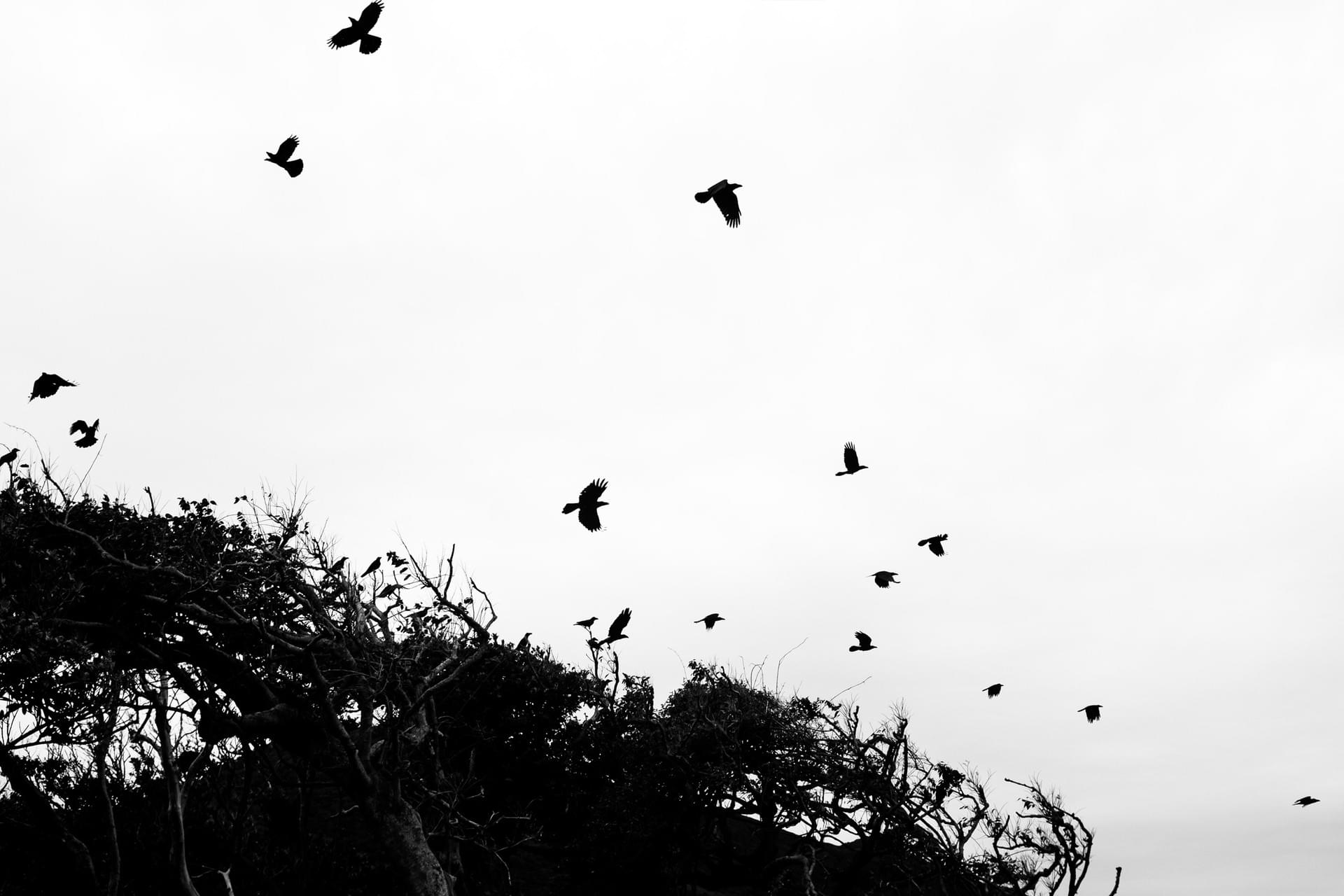 Zoe Litaker photography