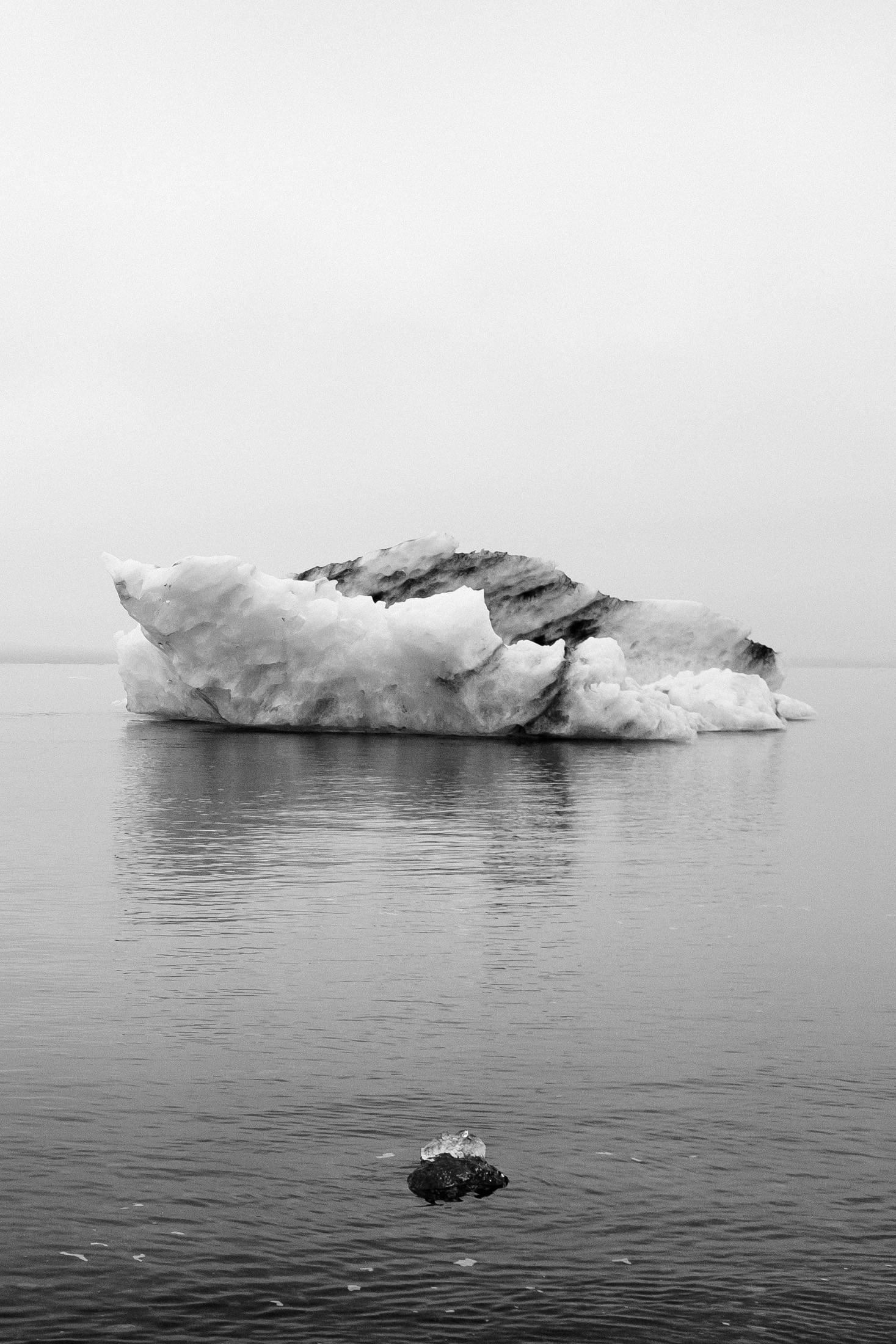Zoe Litaker photography