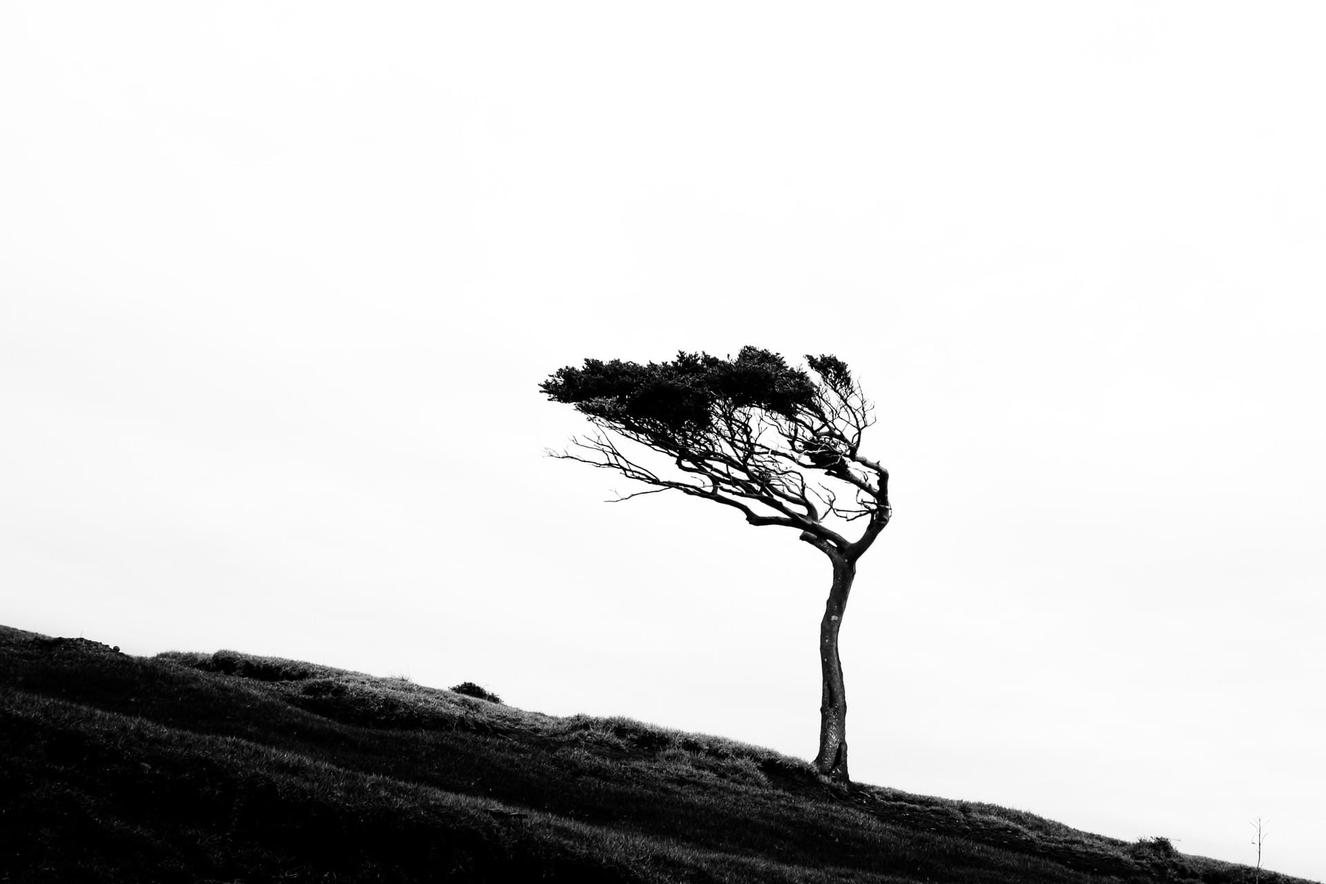 Zoe Litaker photography